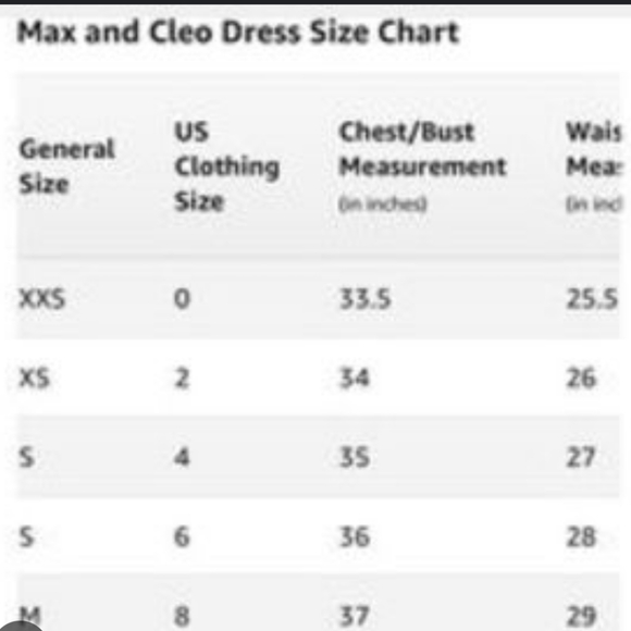 Pleated Rose Detail Dress - Picture 8 of 8